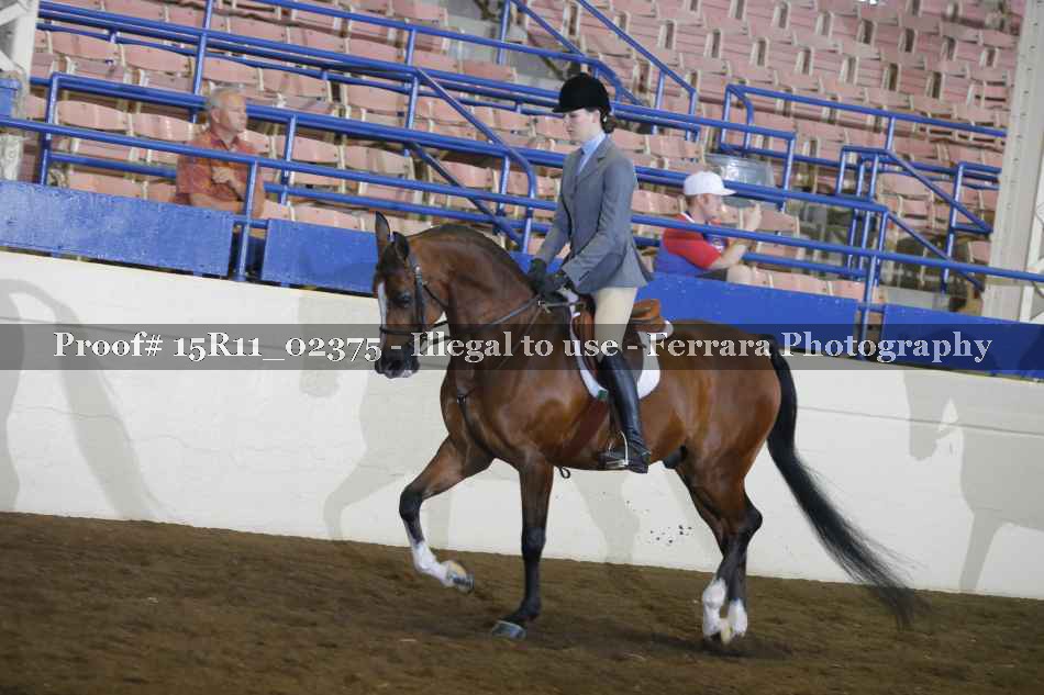 Proof 15R11_02375