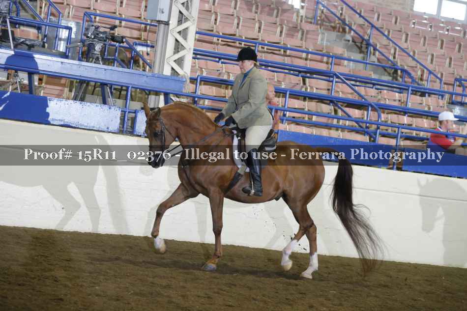Proof 15R11_02376