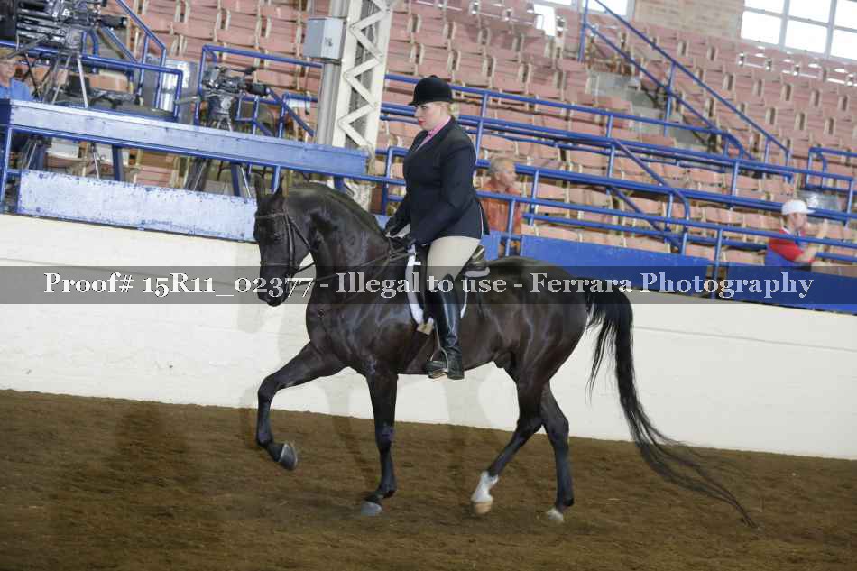 Proof 15R11_02377