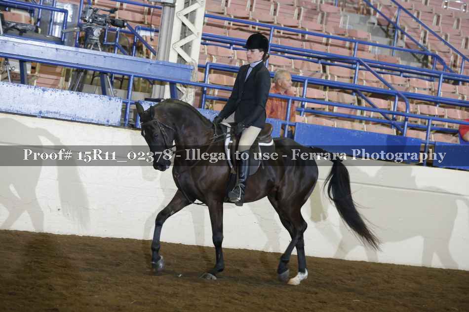 Proof 15R11_02378