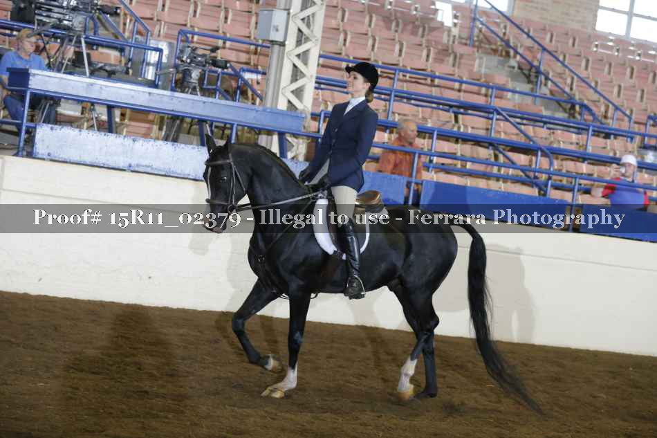 Proof 15R11_02379