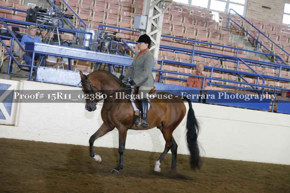 Proof 15R11_02380