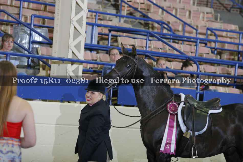 Proof 15R11_02381