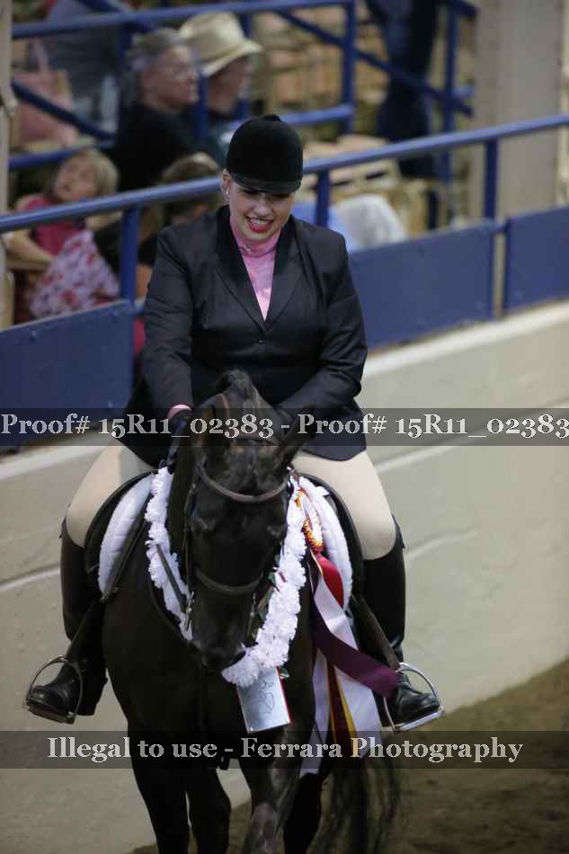 Proof 15R11_02383