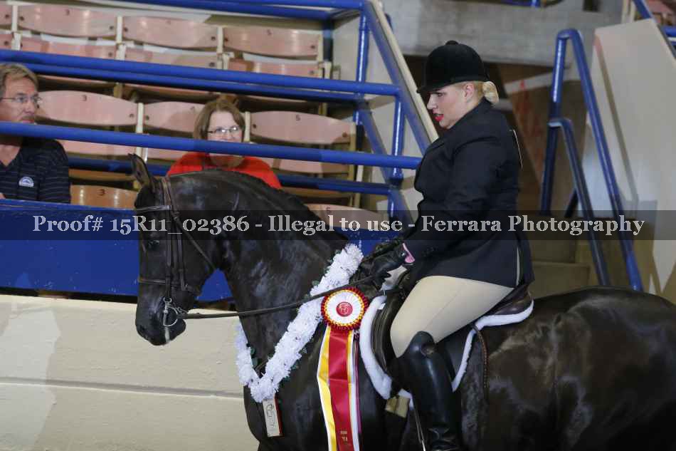 Proof 15R11_02386