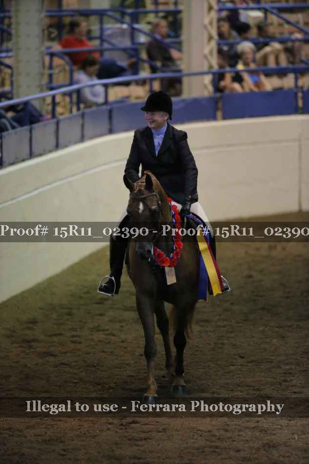 Proof 15R11_02390