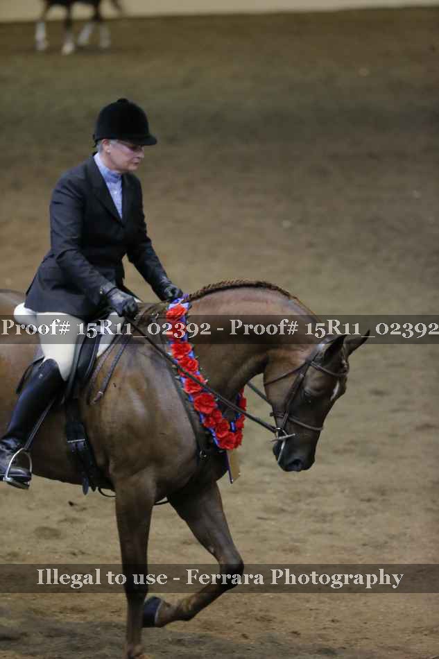 Proof 15R11_02392