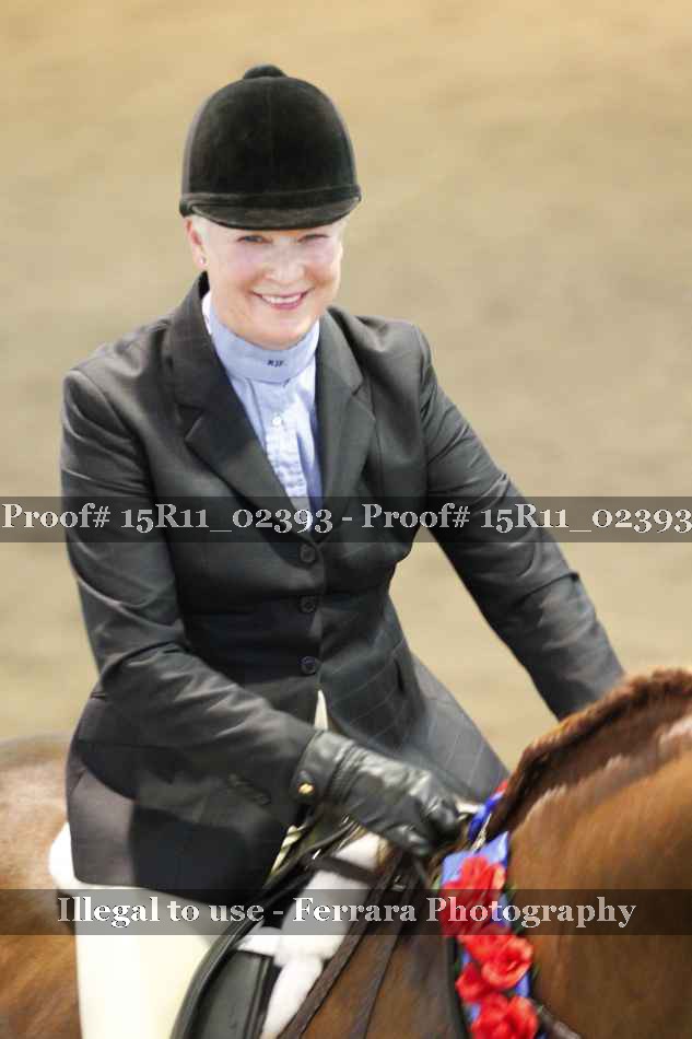 Proof 15R11_02393
