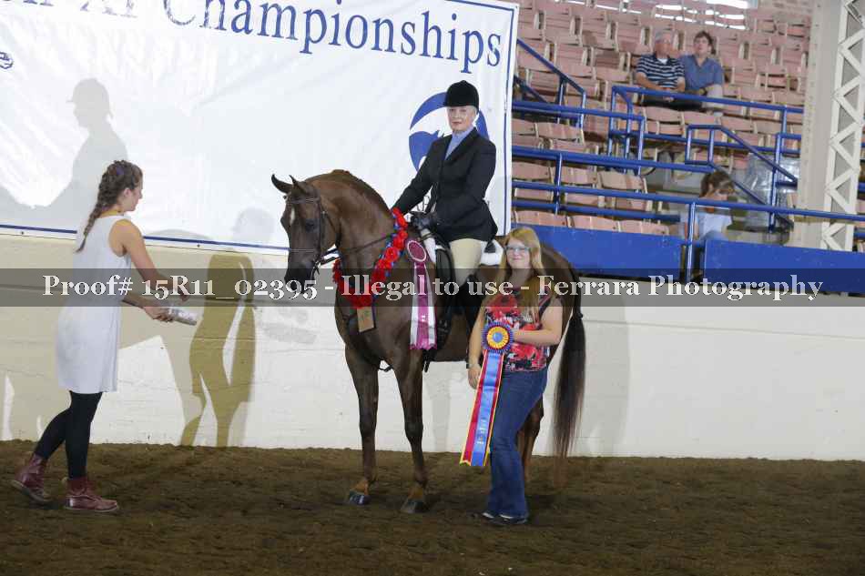 Proof 15R11_02395