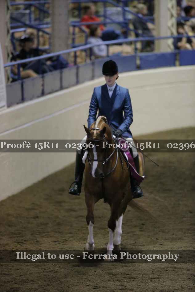 Proof 15R11_02396