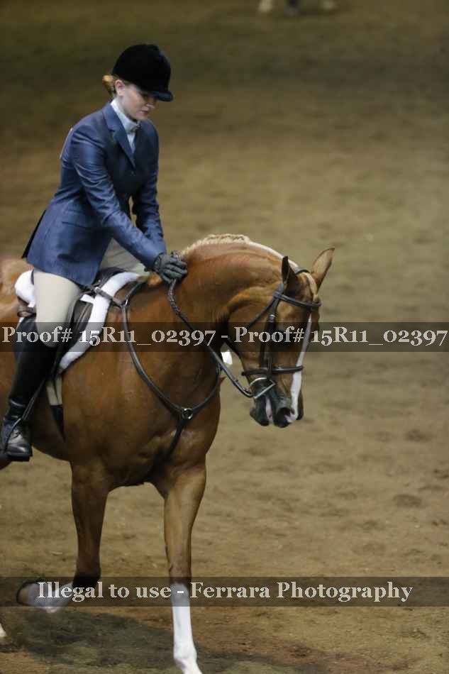 Proof 15R11_02397