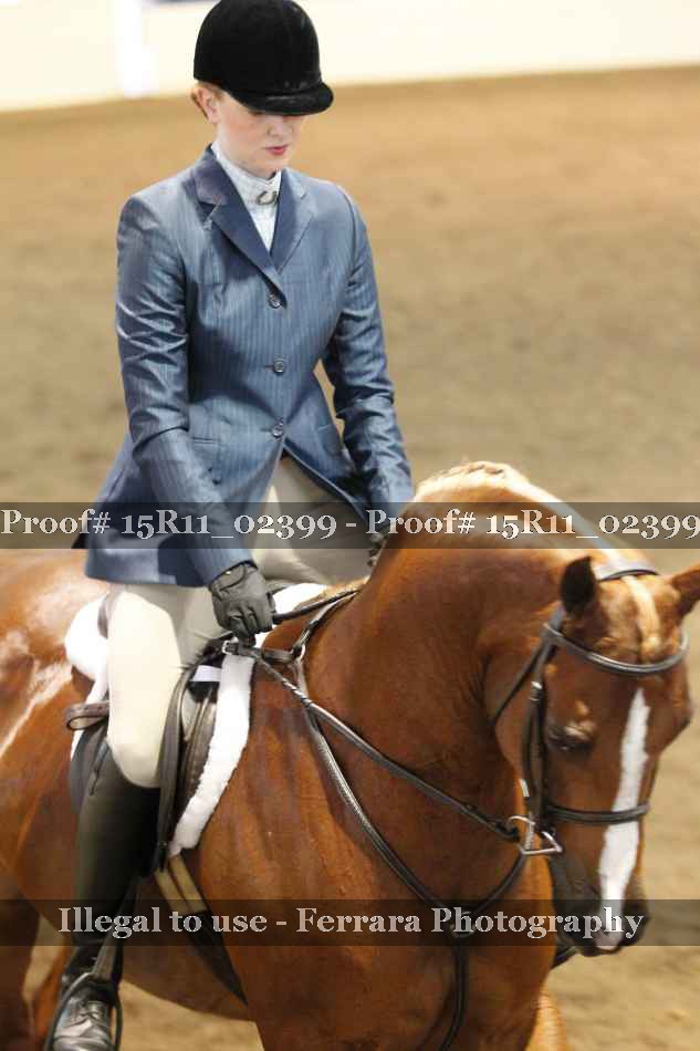 Proof 15R11_02399