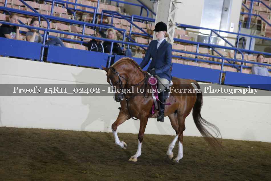 Proof 15R11_02402