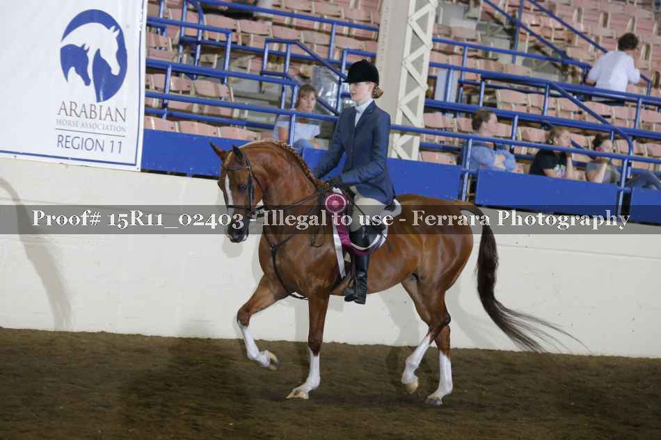 Proof 15R11_02403