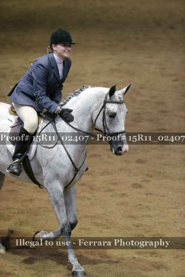 Proof 15R11_02407