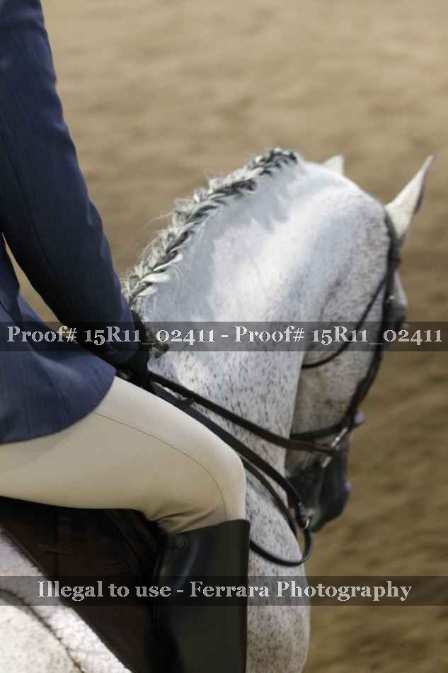Proof 15R11_02411