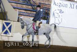 15R11_02414 proof