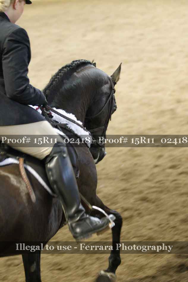 Proof 15R11_02418