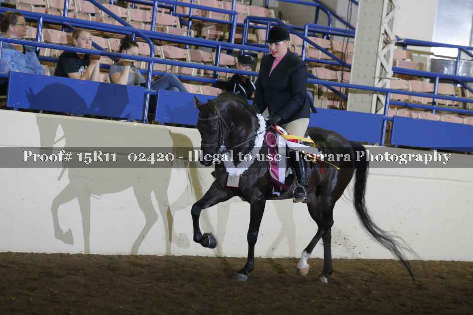 Proof 15R11_02420