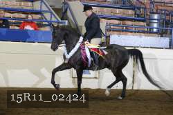 15R11_02424 proof