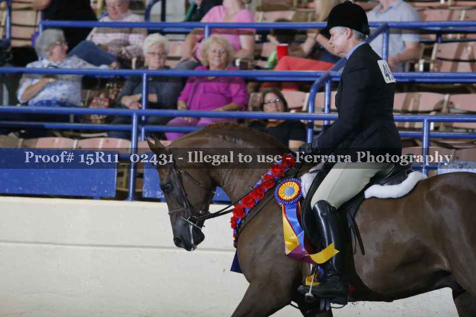Proof 15R11_02431