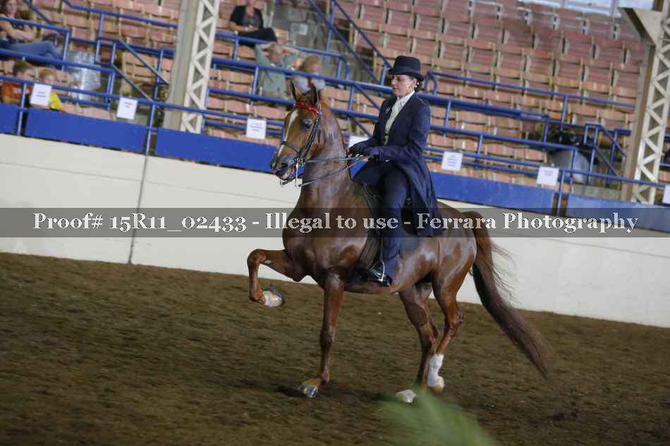 Proof 15R11_02433