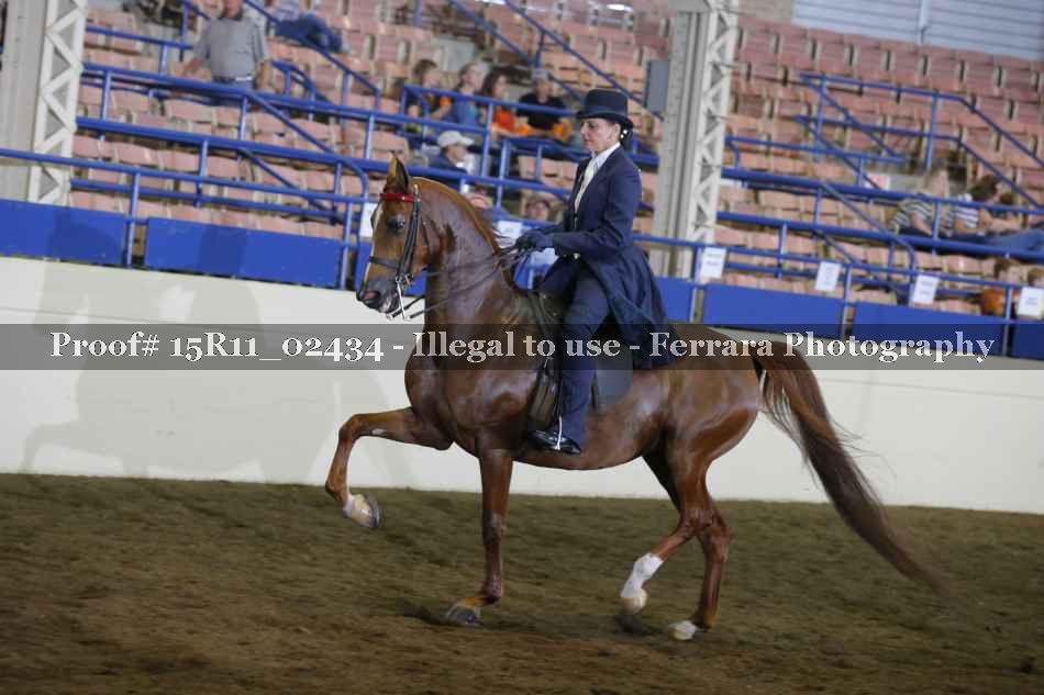 Proof 15R11_02434