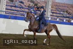 15R11_02434 proof
