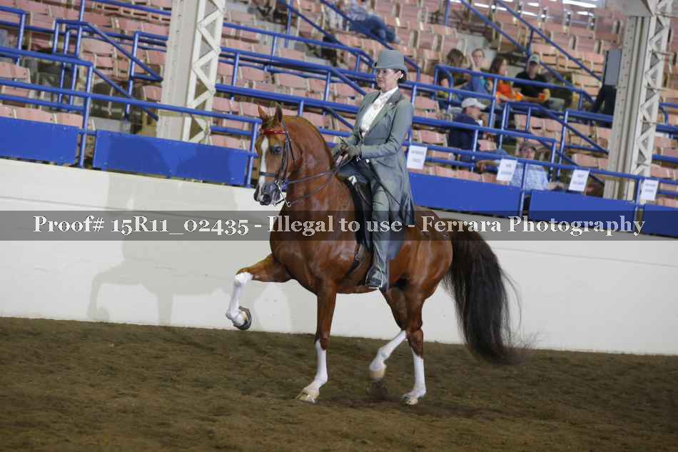 Proof 15R11_02435