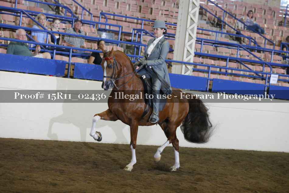 Proof 15R11_02436