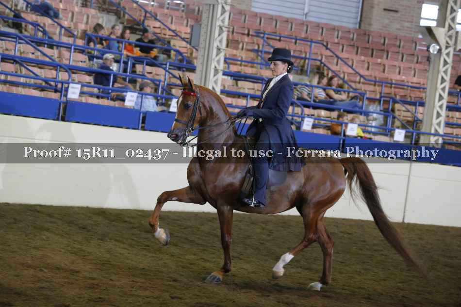 Proof 15R11_02437