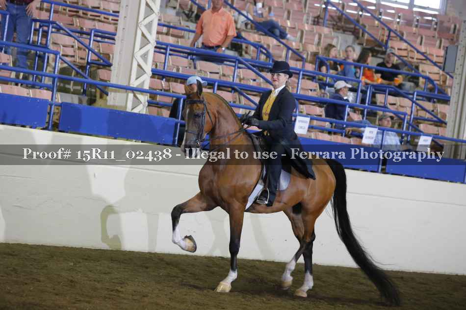 Proof 15R11_02438