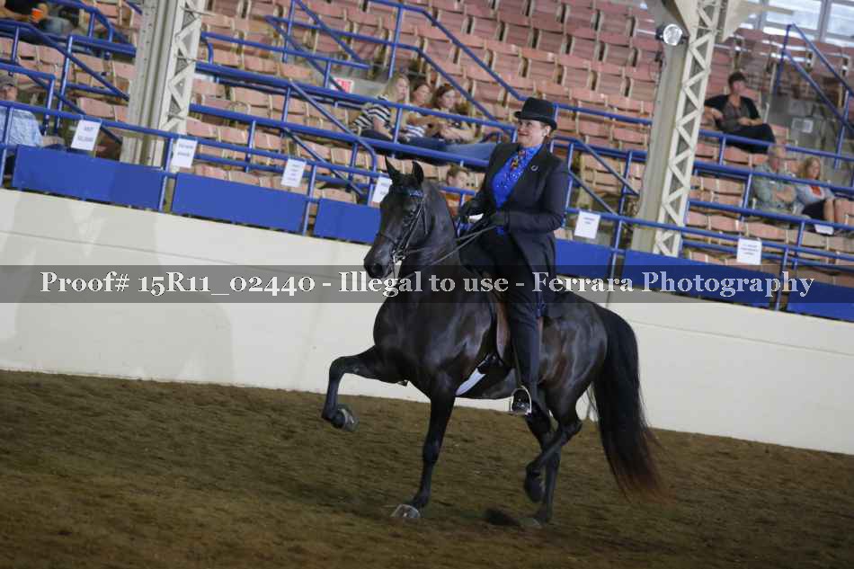 Proof 15R11_02440