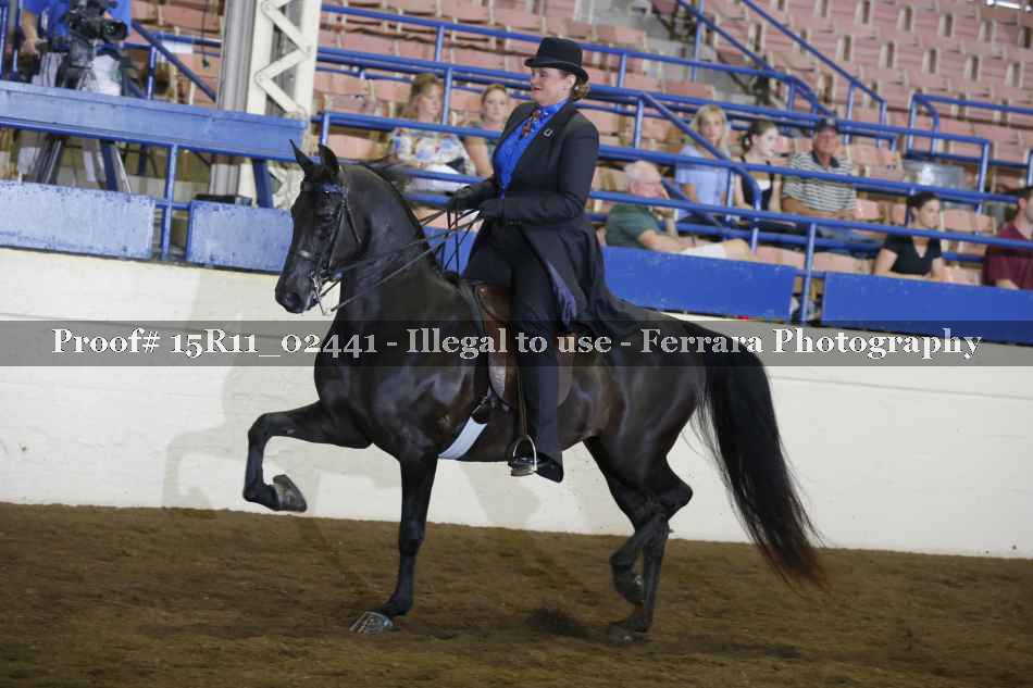 Proof 15R11_02441