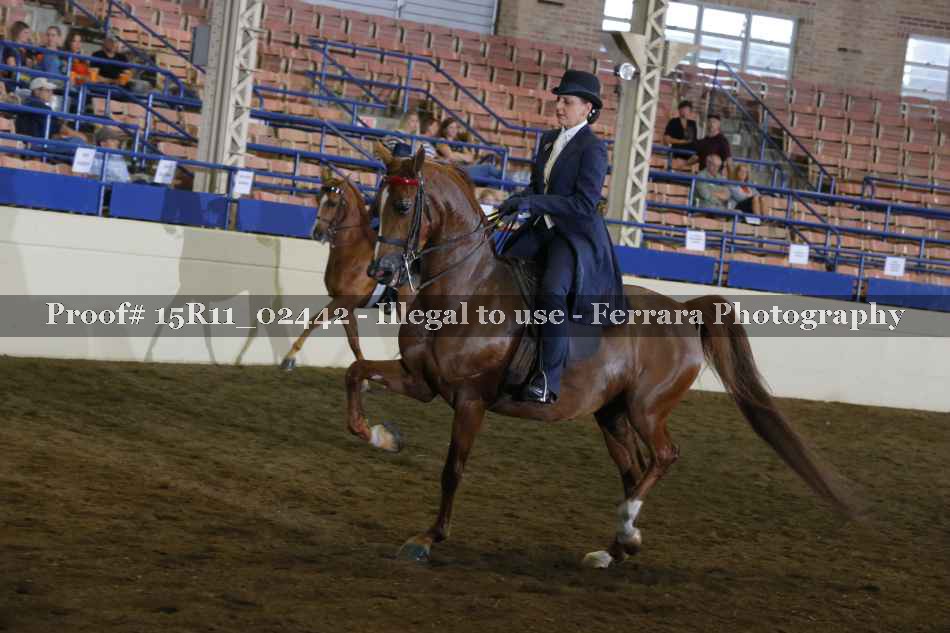Proof 15R11_02442