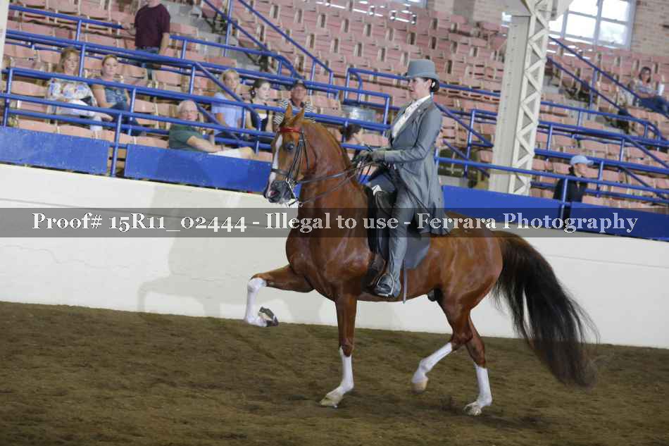 Proof 15R11_02444