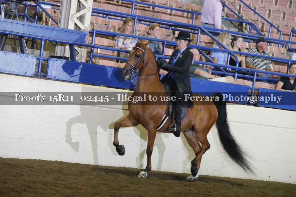 Proof 15R11_02445