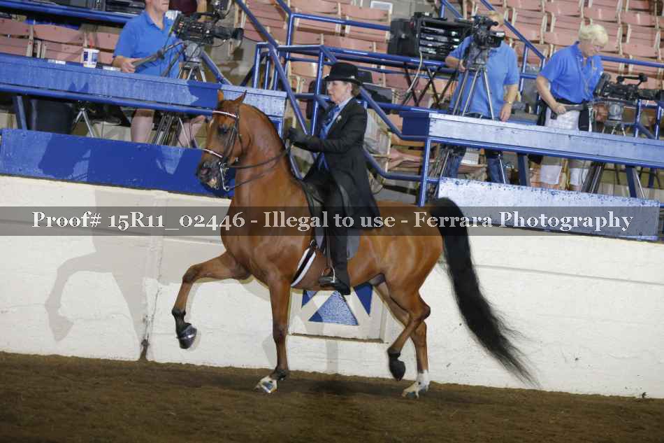 Proof 15R11_02446