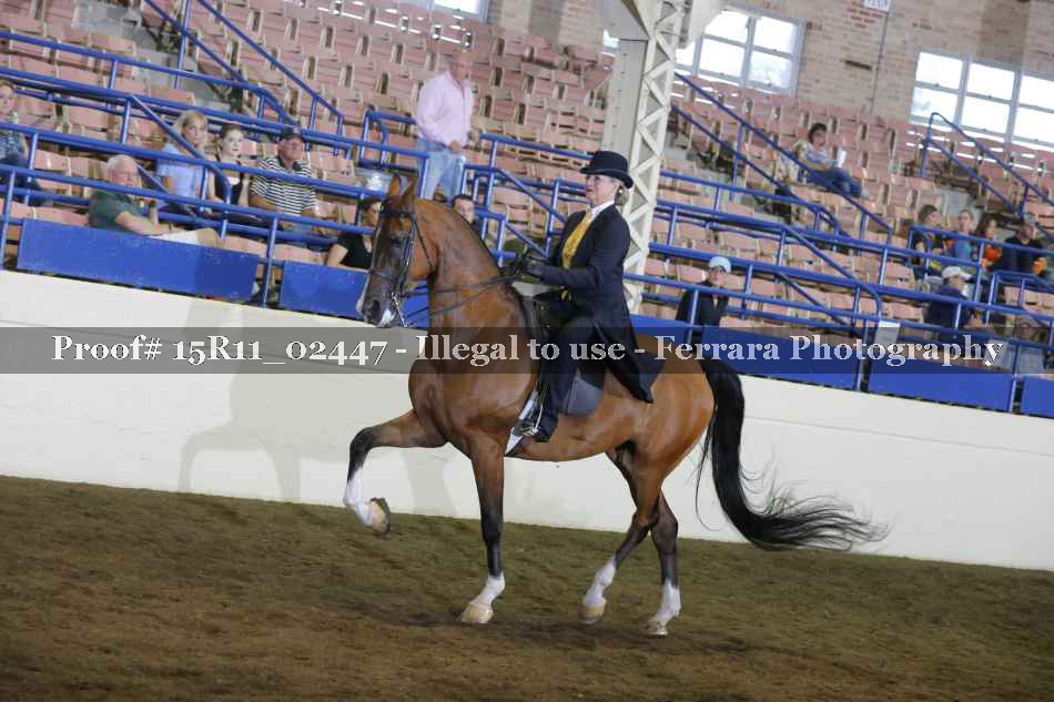 Proof 15R11_02447