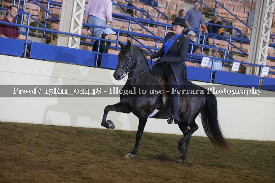 Proof 15R11_02448