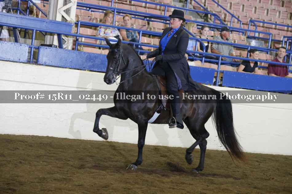 Proof 15R11_02449
