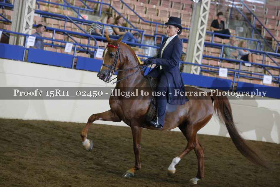 Proof 15R11_02450