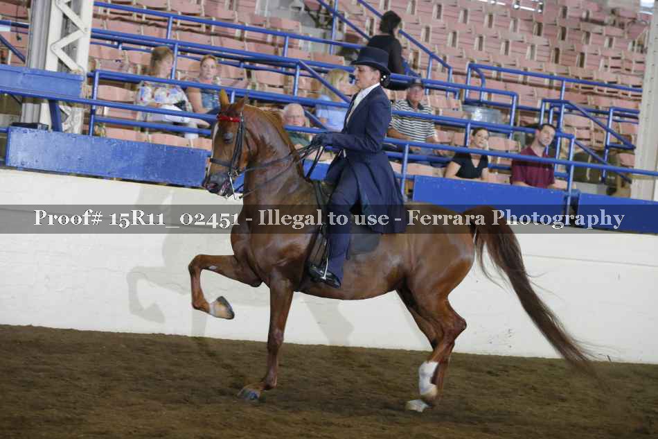 Proof 15R11_02451