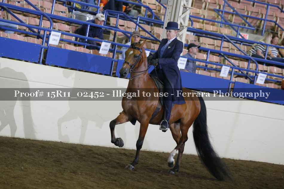 Proof 15R11_02452