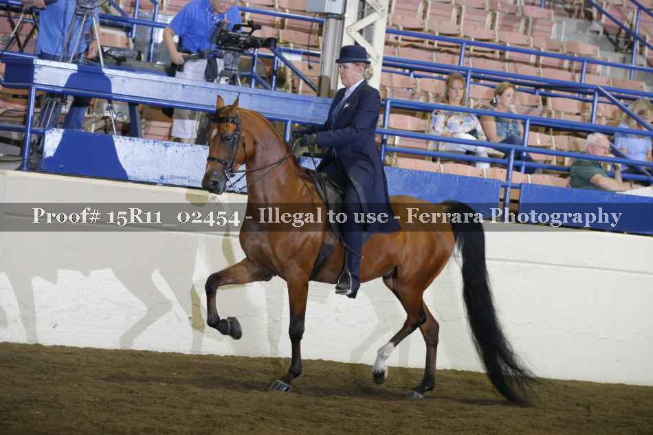 Proof 15R11_02454