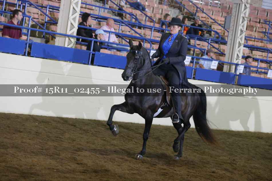 Proof 15R11_02455