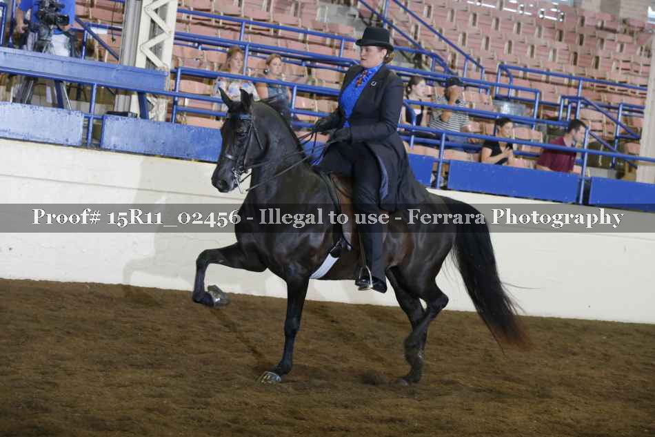 Proof 15R11_02456