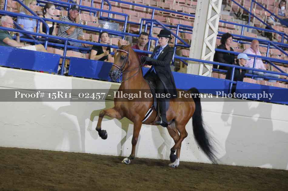Proof 15R11_02457