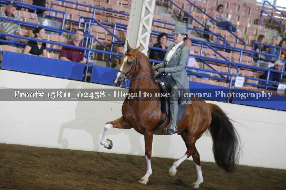 Proof 15R11_02458