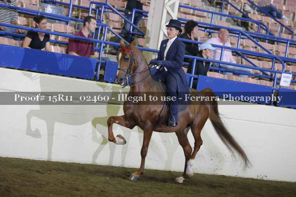 Proof 15R11_02460